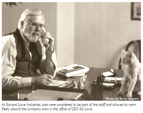 Edward Lowe and the Kitty Litter Story