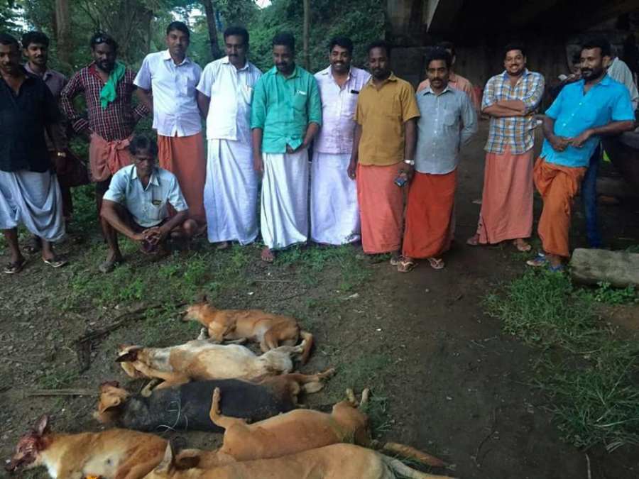 posing-after-killing-harmless-dogs-kerala