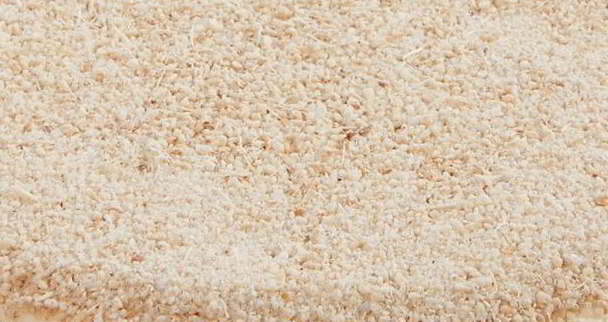 Almo Nature Non-Profit Best Natural Cat Litter Fine Texture