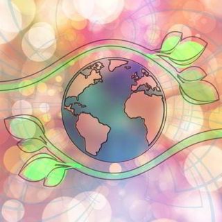 A List of sustainably produced eco-friendly cat litter